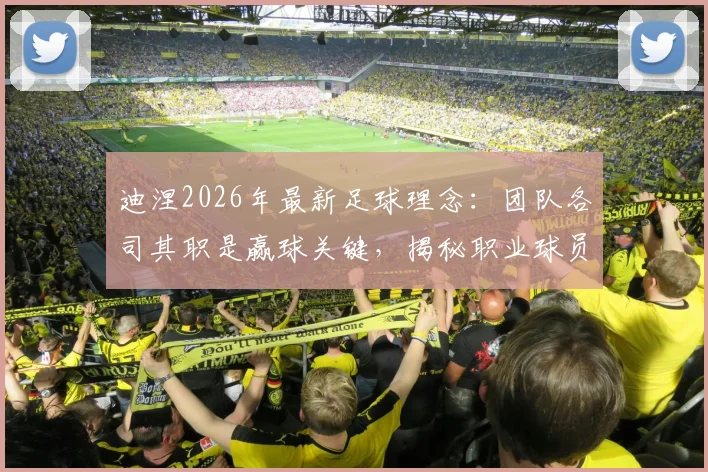 迪涅2026年最新足球理念：团队各司其职是赢球关键，揭秘职业球员的球场快乐源泉