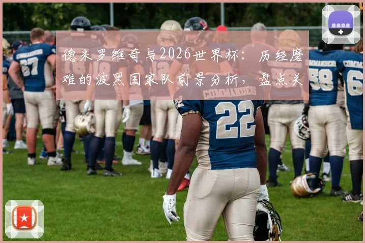 德米罗维奇与2026世界杯：历经磨难的波黑国家队前景分析，盘点关键球员与足球历史